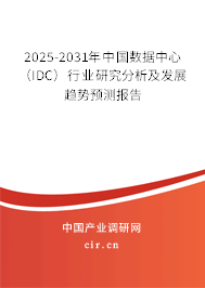 2025-2031年中國數(shù)據(jù)中心（IDC）行業(yè)研究分析及發(fā)展趨勢預測報告