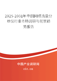 2025-2031年中國網(wǎng)絡流量分析儀行業(yè)市場調(diào)研與前景趨勢報告