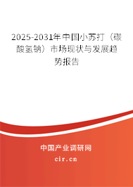 2025-2031年中國(guó)小蘇打(碳酸氫鈉)市場(chǎng)現(xiàn)狀與發(fā)展趨勢(shì)報(bào)告 2025-2031年中國(guó)小蘇打(碳酸氫鈉)市場(chǎng)現(xiàn)狀與發(fā)展趨勢(shì)報(bào)告