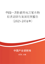 中國(guó)一次性使用電刀筆市場(chǎng)現(xiàn)狀調(diào)研與發(fā)展前景報(bào)告（2025-2031年）