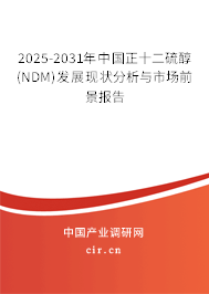 2025-2031年中國正十二硫醇(NDM)發(fā)展現(xiàn)狀分析與市場前景報告