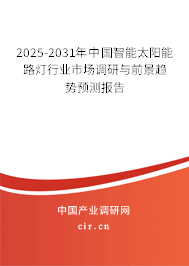 2025-2031年中國(guó)智能太陽(yáng)能路燈行業(yè)市場(chǎng)調(diào)研與前景趨勢(shì)預(yù)測(cè)報(bào)告