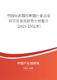 中國電表箱照明箱行業(yè)調查研究及發(fā)展趨勢分析報告（2025-2031年）