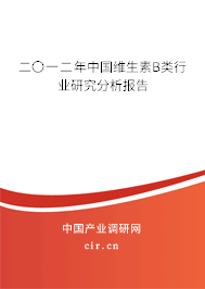 二〇一二年中國維生素B類行業(yè)研究分析報(bào)告