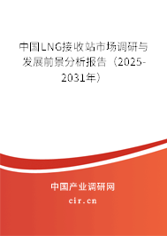 中國(guó)LNG接收站市場(chǎng)調(diào)研與發(fā)展前景分析報(bào)告（2025-2031年）