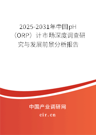 2025-2031年中國(guó)pH（ORP）計(jì)市場(chǎng)深度調(diào)查研究與發(fā)展前景分析報(bào)告