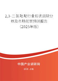 2,3-二氯吡啶行業(yè)現(xiàn)狀調(diào)研分析及市場前景預(yù)測報(bào)告（2025年版）