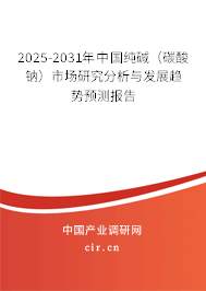 2025-2031年中國(guó)純堿（碳酸鈉）市場(chǎng)研究分析與發(fā)展趨勢(shì)預(yù)測(cè)報(bào)告