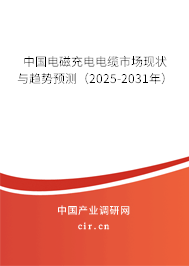 中國電磁充電電纜市場現(xiàn)狀與趨勢預測（2025-2031年）
