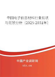 中國(guó)電子信息材料行業(yè)現(xiàn)狀與前景分析(2025-2031年) 中國(guó)電子信息材料行業(yè)現(xiàn)狀與前景分析(2025-2031年)