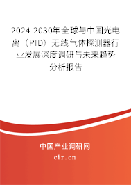 2024-2030年全球與中國光電離（PID）無線氣體探測(cè)器行業(yè)發(fā)展深度調(diào)研與未來趨勢(shì)分析報(bào)告