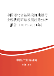 中國(guó)河北省基礎(chǔ)設(shè)施建設(shè)行業(yè)現(xiàn)狀調(diào)研與發(fā)展趨勢(shì)分析報(bào)告（2025-2031年）