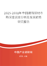 2025-2031年中國建筑鋼材市場深度調查分析及發(fā)展趨勢研究報告