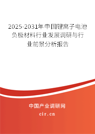2025-2031年中國鋰離子電池負極材料行業(yè)發(fā)展調(diào)研與行業(yè)前景分析報告