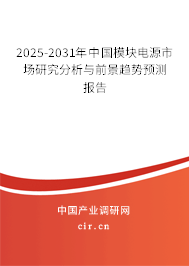 2025-2031年中國(guó)模塊電源市場(chǎng)研究分析與前景趨勢(shì)預(yù)測(cè)報(bào)告