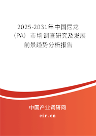 2025-2031年中國尼龍(PA)市場調(diào)查研究及發(fā)展前景趨勢分析報告 2025-2031年中國尼龍(PA)市場調(diào)查研究及發(fā)展前景趨勢分析報告