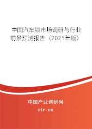 中國汽車鎖市場調(diào)研與行業(yè)前景預(yù)測報告（2025年版）