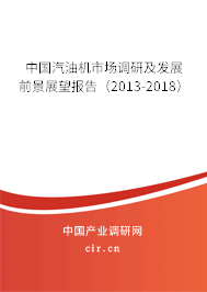 中國汽油機(jī)市場調(diào)研及發(fā)展前景展望報(bào)告（2013-2018）