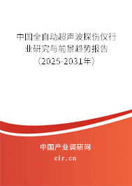 中國全自動超聲波探傷儀行業(yè)研究與前景趨勢報告（2025-2031年）
