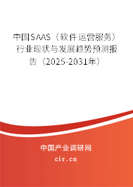 中國SAAS（軟件運(yùn)營服務(wù)）行業(yè)現(xiàn)狀與發(fā)展趨勢預(yù)測報(bào)告（2025-2031年）