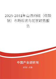 2025-2031年山西純堿（碳酸鈉）市場現(xiàn)狀與前景趨勢報(bào)告