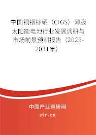 中國銅銦鎵硒（CIGS）薄膜太陽能電池行業(yè)發(fā)展調(diào)研與市場前景預(yù)測報告（2025-2031年）