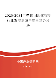 2025-2031年中國(guó)網(wǎng)絡(luò)化控制行業(yè)發(fā)展調(diào)研與前景趨勢(shì)分析