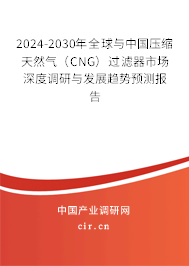 2024-2030年全球與中國壓縮天然氣（CNG）過濾器市場深度調研與發(fā)展趨勢預測報告