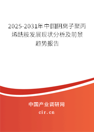 2025-2031年中國陰離子聚丙烯酰胺發(fā)展現(xiàn)狀分析及前景趨勢(shì)報(bào)告