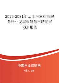 2025-2031年云南汽車租賃服務(wù)行業(yè)發(fā)展調(diào)研與市場前景預(yù)測報(bào)告