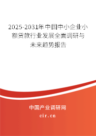 2025-2031年中國中小企業(yè)小額貸款行業(yè)發(fā)展全面調研與未來趨勢報告 2025-2031年中國中小企業(yè)小額貸款行業(yè)發(fā)展全面調研與未來趨勢報告