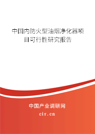 中國(guó)內(nèi)防火型油煙凈化器項(xiàng)目可行性研究報(bào)告
