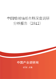 中國植絨帖紙市場深度調研分析報告（2012）