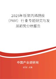 2025年版聚丙烯酰胺（PAM）行業(yè)專題研究與發(fā)展趨勢(shì)分析報(bào)告