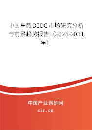 中國(guó)車(chē)載DCDC市場(chǎng)研究分析與前景趨勢(shì)報(bào)告（2024-2030年）