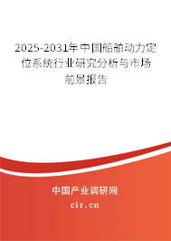 2025-2031年中國(guó)船舶動(dòng)力定位系統(tǒng)行業(yè)研究分析與市場(chǎng)前景報(bào)告