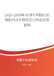 2025-2030年全球與中國大型儲能PCS市場研究分析及前景趨勢