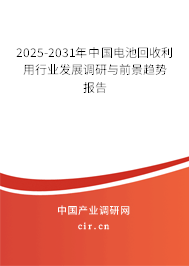 2025-2031年中國電池回收利用行業(yè)發(fā)展調(diào)研與前景趨勢報告
