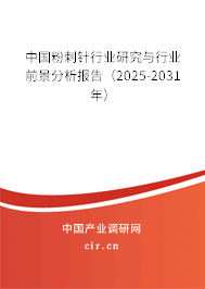 中國(guó)粉刺針行業(yè)研究與行業(yè)前景分析報(bào)告（2025-2031年）
