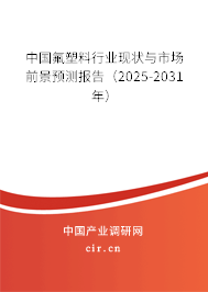 中國氟塑料行業(yè)現(xiàn)狀與市場前景預(yù)測報告（2025-2031年）