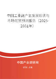 中國工業(yè)副產(chǎn)氫發(fā)展現(xiàn)狀與市場前景預(yù)測報(bào)告（2025-2031年）