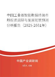 中國(guó)工業(yè)級(jí)智能數(shù)據(jù)終端市場(chǎng)現(xiàn)狀調(diào)研與發(fā)展前景預(yù)測(cè)分析報(bào)告（2025-2031年）