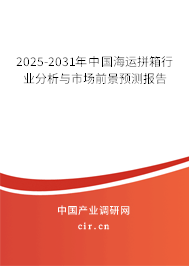 2024-2030年中國海運(yùn)拼箱行業(yè)分析與市場前景預(yù)測報告
