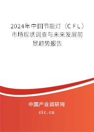 2024年中國節(jié)能燈（CFL）市場現(xiàn)狀調查與未來發(fā)展前景趨勢報告