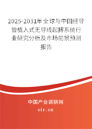 2025-2031年全球與中國經(jīng)導(dǎo)管植入式無導(dǎo)線起搏系統(tǒng)行業(yè)研究分析及市場前景預(yù)測報告