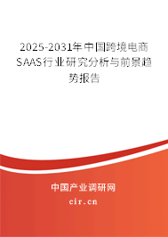 2025-2031年中國跨境電商SAAS行業(yè)研究分析與前景趨勢(shì)報(bào)告 2025-2031年中國跨境電商SAAS行業(yè)研究分析與前景趨勢(shì)報(bào)告