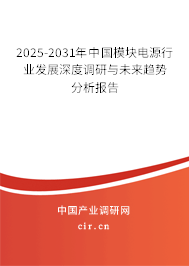 2025-2031年中國(guó)模塊電源行業(yè)發(fā)展深度調(diào)研與未來(lái)趨勢(shì)分析報(bào)告