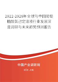 2022-2028年全球與中國葡萄糖酸氯己定溶液行業(yè)發(fā)展深度調研與未來趨勢預測報告