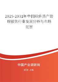 2025-2031年中國軟件資產(chǎn)管理服務(wù)行業(yè)發(fā)展分析與市場前景