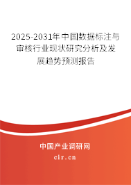 2025-2031年中國數(shù)據(jù)標注與審核行業(yè)現(xiàn)狀研究分析及發(fā)展趨勢預測報告